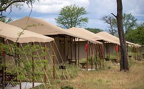 Serengeti Acacia Central Camp